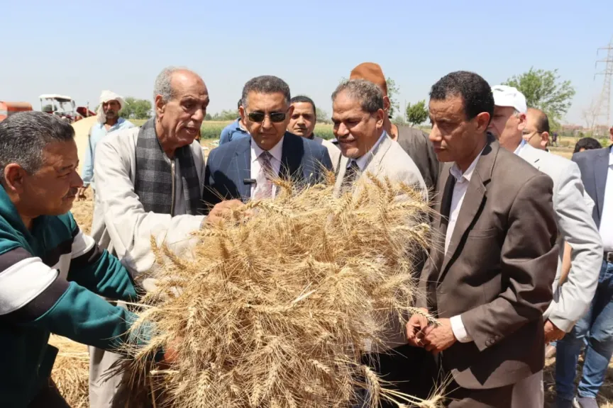 في قلب الحقول قها.. محافظ القليوبية يشارك الفلاحين فرحة حصاد القمح ويبعث برسائل طمأنة