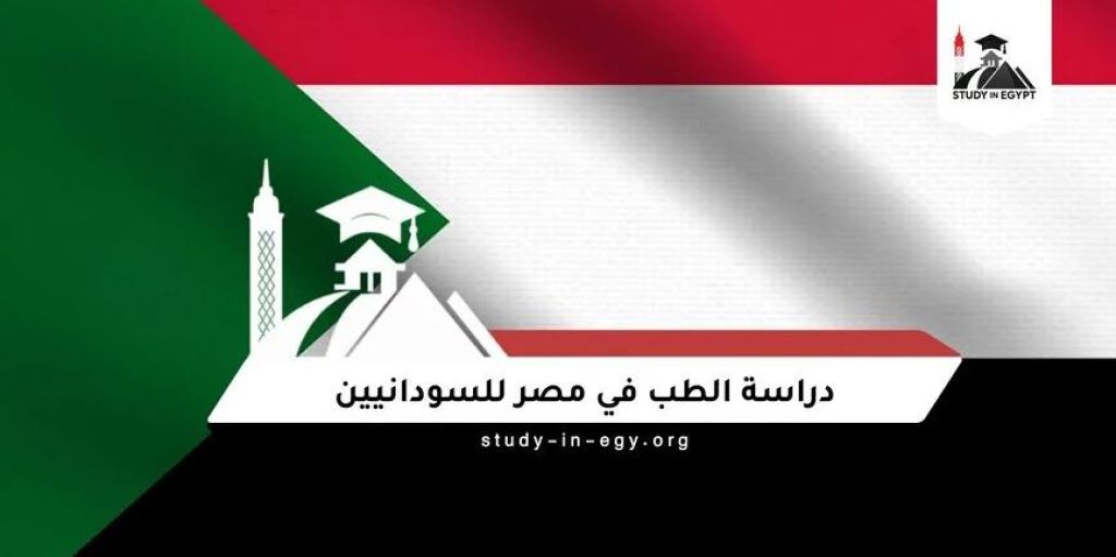 الجامعات المصرية تواصل استقطاب الطلاب السودانيين