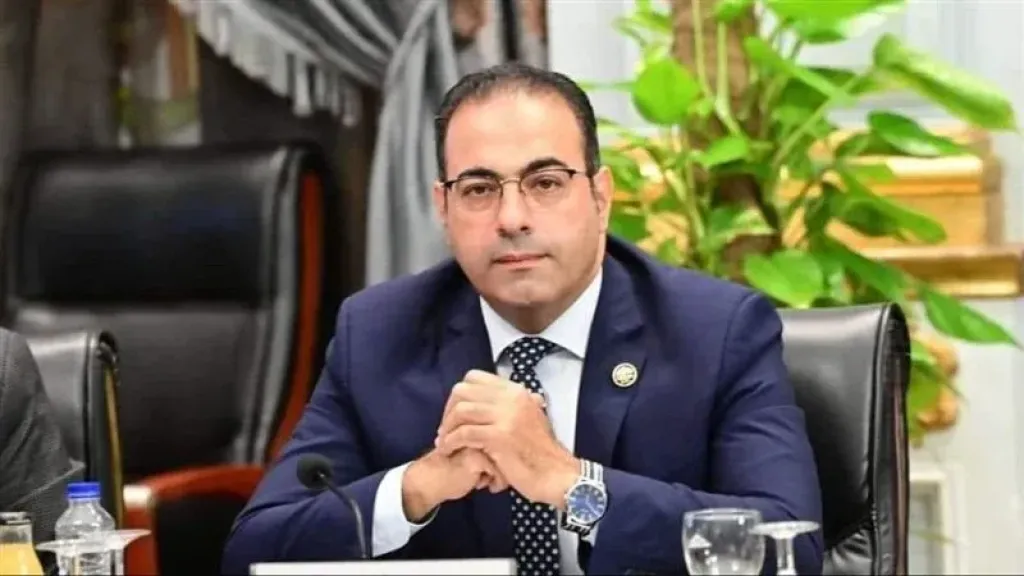 الدكتور محمود حسين يستمر أمينًا للمصريين بالخارج بحزب مستقبل وطن