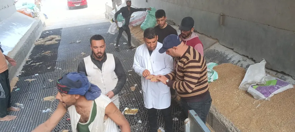 مدير صومعة كفر الشيخ: سعة التخزين 30 ألف طن عبر 6 خلايا.. ومنظومة دقيقة لاستقبال وتداول الأقماح