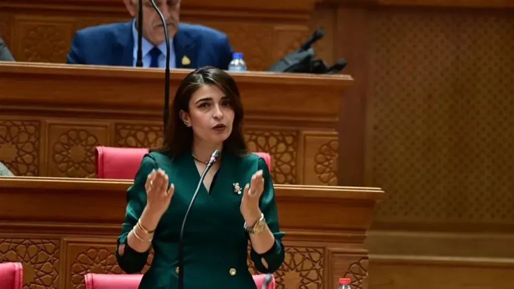 إيرين سعيد: 11 هيئة اقتصادية تكبدت خسائر بـ16 مليار جنيه