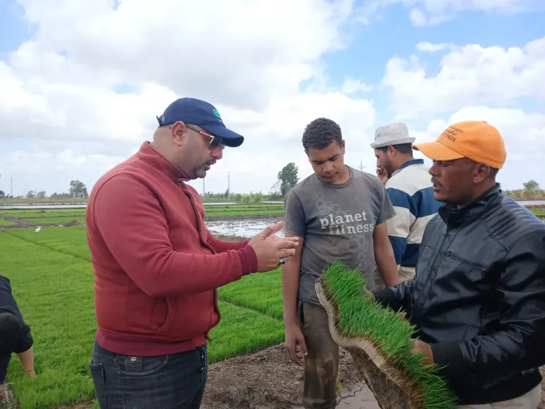 طفرة زراعية حديثة.. “خط مكن” لإنتاج شتلات الأرز يرفع الإنتاجية ويوفر الوقت والتكاليف
