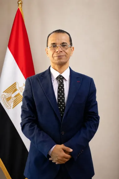 المستشار هاني الهلالي محامي الاستئناف ومجلس الدولة