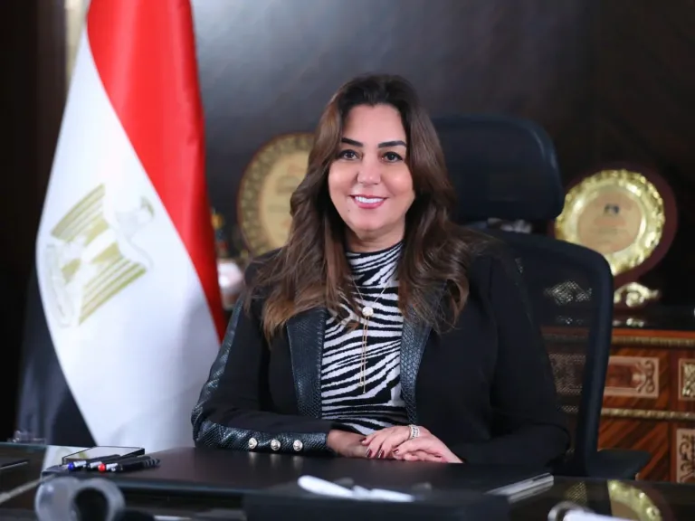 جهود موسعة للقضية السكانية.. 1967 نشاطًا في 25 محافظة يستفيد منها 151 ألف مواطن خلال أبريل