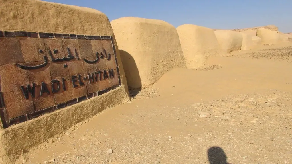 وادي الحيتان يحافظ على مكانته العالمية بالقائمة الخضراء لـ5 سنوات جديدة