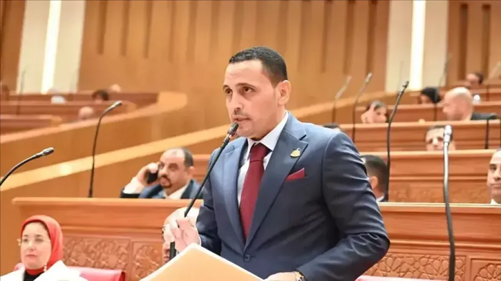 برلماني: مبادرات الدولة للمصريين بالخارج فرص حقيقية تحتاج مزيدًا من التعريف
