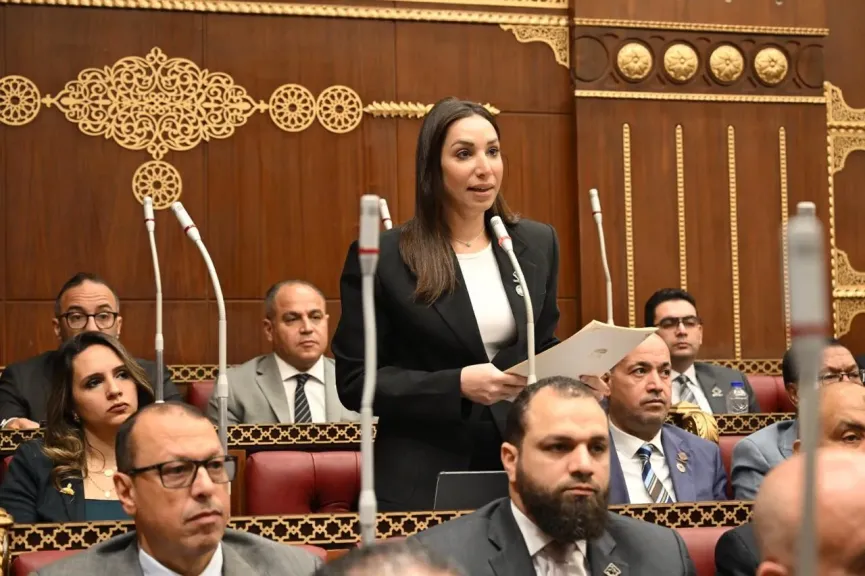 النائبة حنان وجدي عضو مجلس الشيوخ 