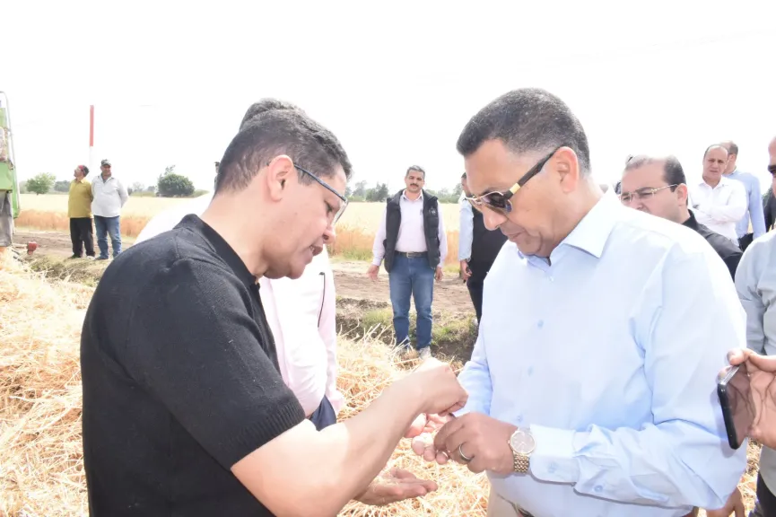 الذهب الأصفر يتوهج.. القليوبية تتابع حصاد القمح بكلية مشتهر وتؤكد دعم المزارعين