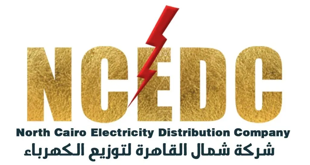 تتضمن 5 اسماء .. حركة ترقيات جديدة بـ«كهرباء شمال القاهرة» لتحسين الأداء  - مستند