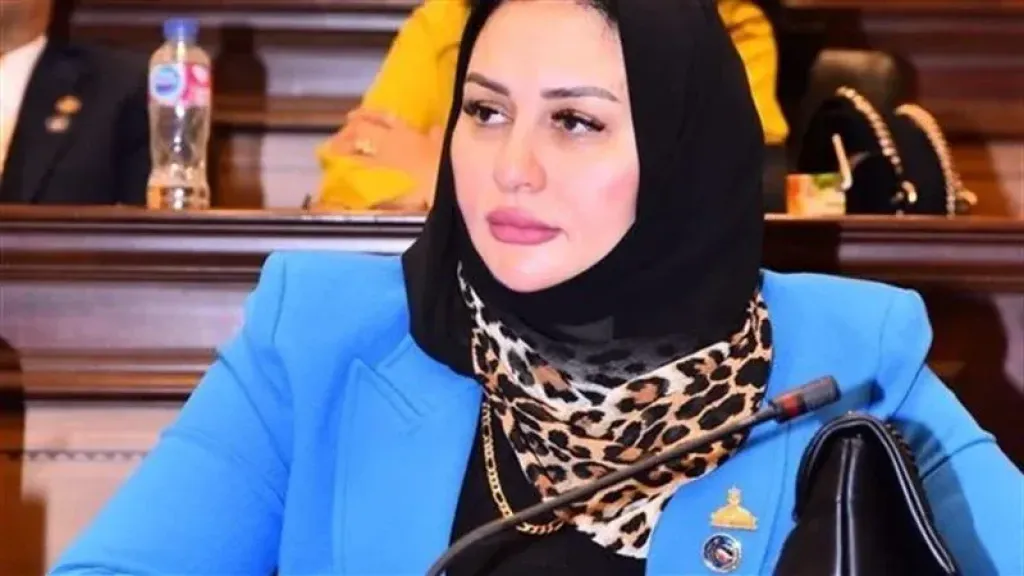النائبة شيرين صبري