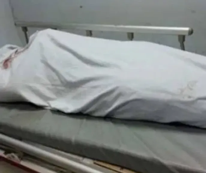 جريمة تهز كفر الشيخ.. مقتل شقيقين طعنًا على يد عاطل بقرية كوم الحجر بالحامول