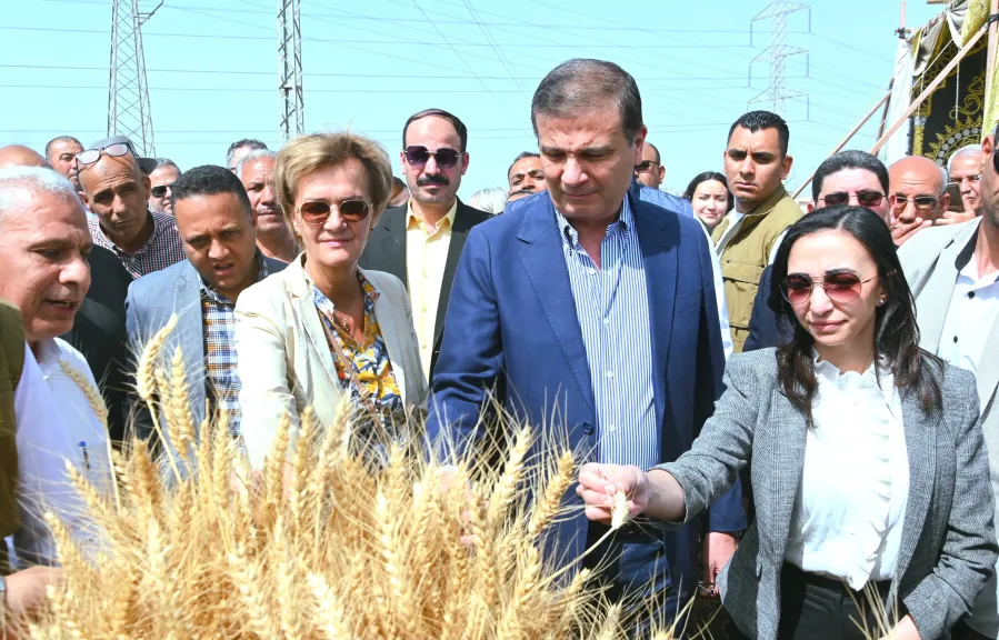 وزير الزراعة ومحافظ البحيرة وسفيرة الاتحاد الأوروبي يشهدون حصاد القمح بأحد الحقول بدمنهور
