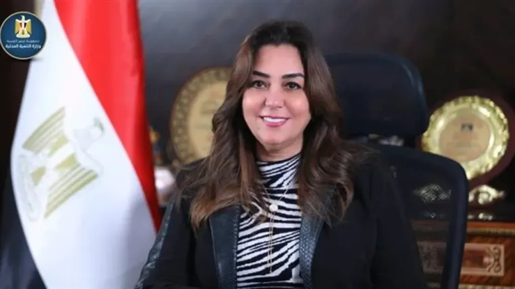 وزيرة التنمية المحلية: تشكيل لجان لحل مشكلات التصالح في مخالفات البناء