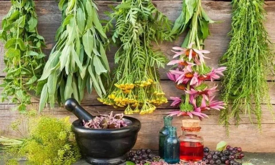 أعشاب طبيعية تمنحك الراحة وتحسن المزاج