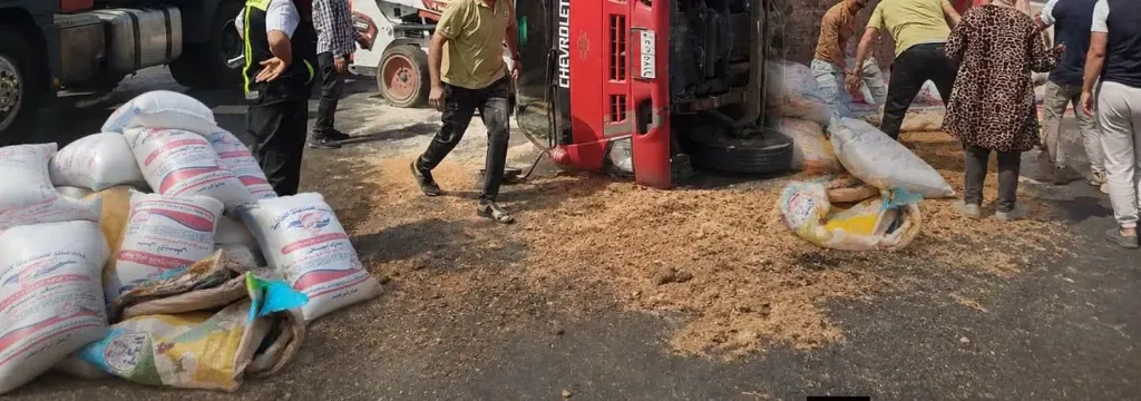 الأعلاف والرده تملأ الطريق.. إنقلاب مقطورة على الزراعي بقها يربك المرور