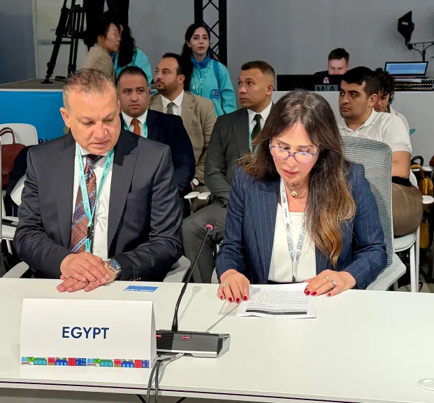 راندة المنشاوي: الإسكان الميسر أولوية ضمن رؤية مصر 2036