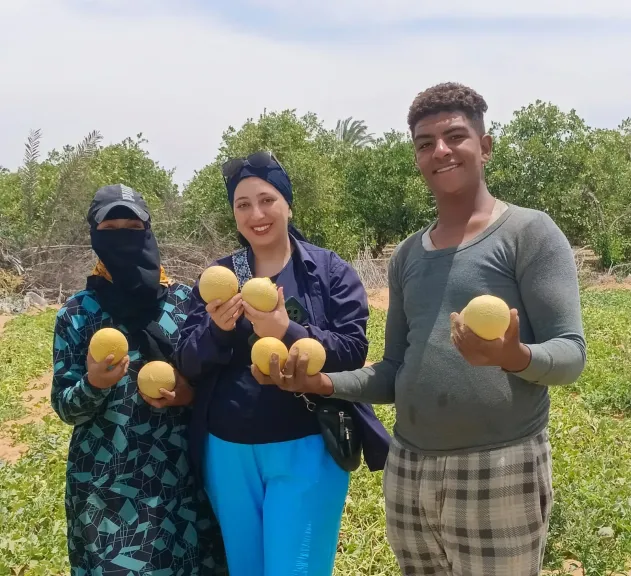 ”النهار” ترصد موسم الكانتلوب بالإسماعيلية.. حكاية محصول صيفي يصنعه المزارعون | فيديو