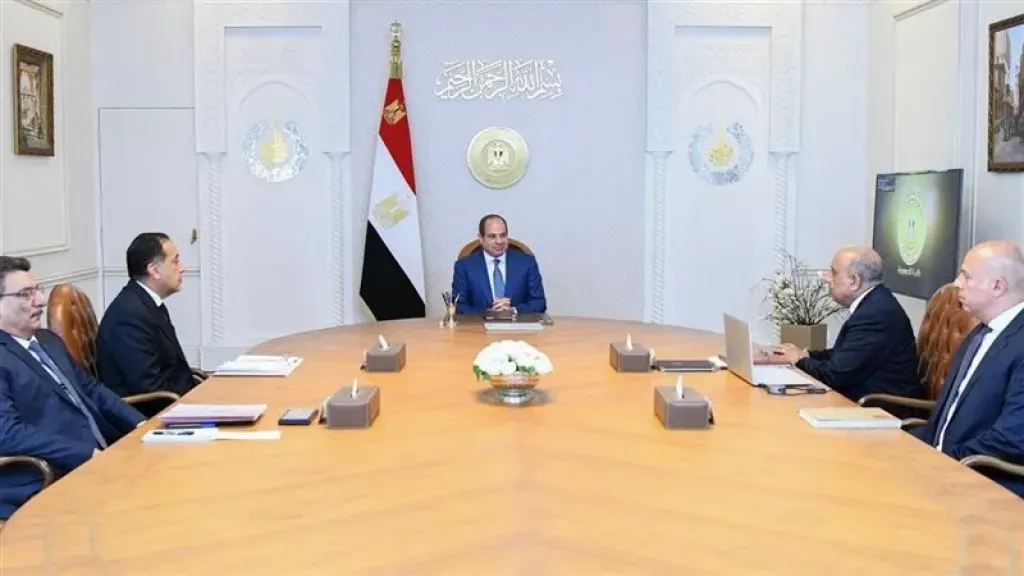الرئيس السيسي: التوسع في الطاقة الجديدة يجب أن يكون مدروسًا