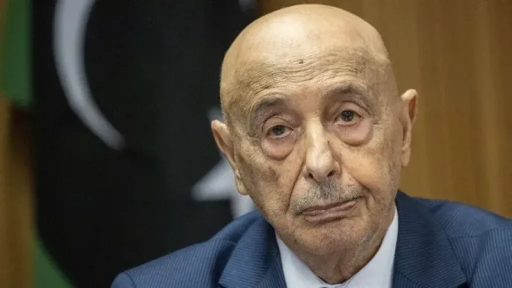 حسن عمار: زيارة عقيلة صالح تعكس وحدة الرؤية بين القاهرة وطرابلس