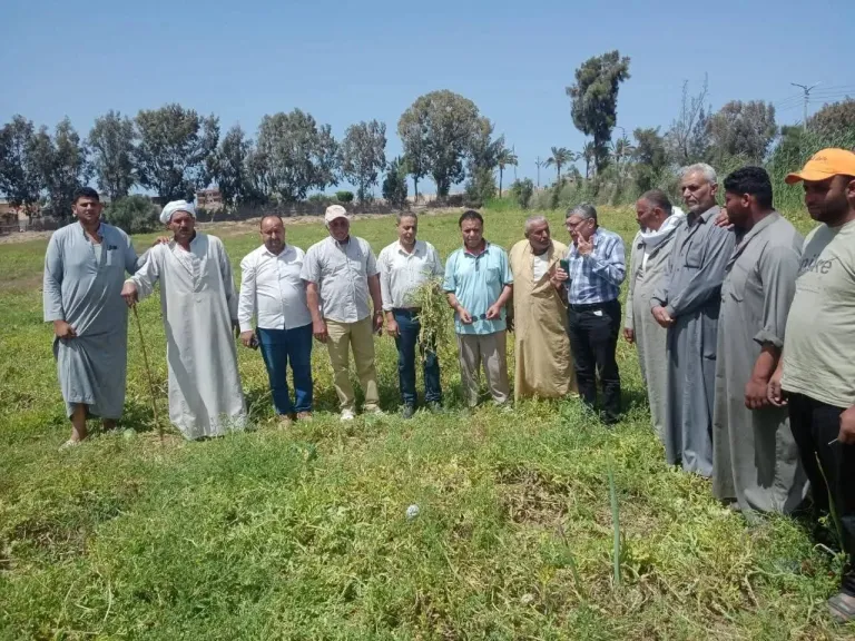 الزراعة: أزمة بطيخ بلطيم محدودة في 7.5 فدان فقط.. والممارسات الزراعية الخاطئة وراء تراجع الإنتاجية