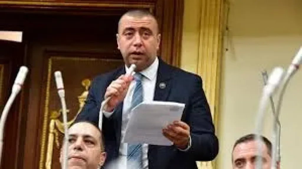  النائب أحمد بهاء شلبي