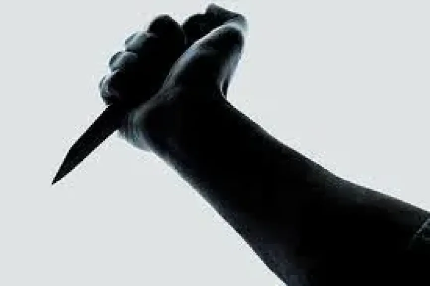 مشادة تحولت إلى مأساة.. عامل يقتل زوجته ذبحاً في طوخ