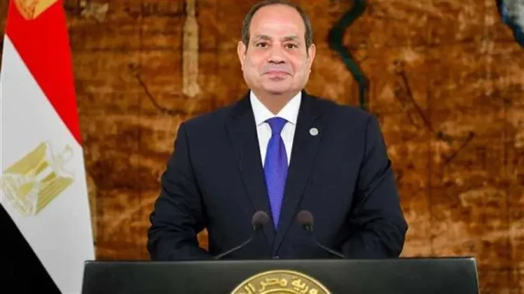 الرئيس السيسي يشدد على الدور المهم لدول الجوار في استقرار ليبيا