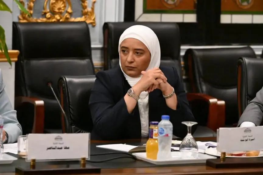 أميرة أبو شقة تحذر من تجاهل مصلحة الطفل في مناقشات قانون الأسرة