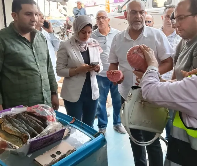 ضبط 800 كجم لحوم فاسدة ومصنعات غير صالحة للاستهلاك الآدمي بالقليوبية
