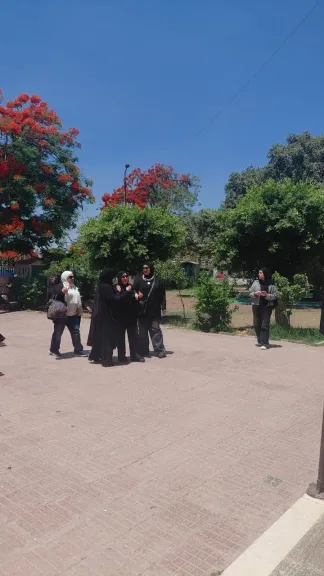 إنهيار شقيقة أحمد حلمي 
