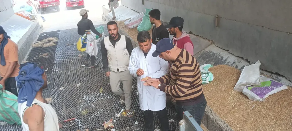 انتظام التوريد وصرف مستحقات المزارعين خلال 24 ساعة..توريد 247 ألفًا و290 طن قمح عبر 25 موقعًا معتمدًا بنسبة 88.31% من المستهدف