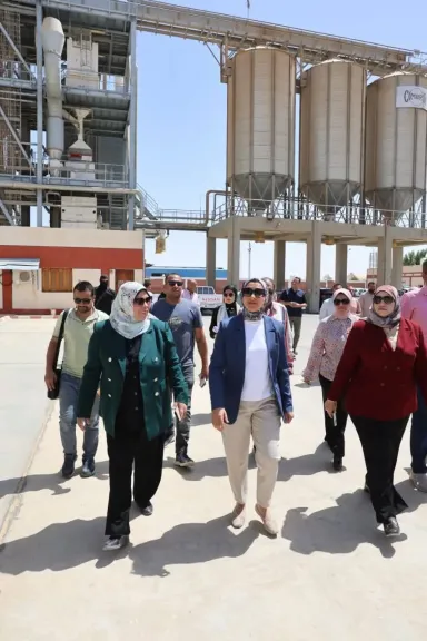 توريد أكثر من نصف مليون طن قمح حتى الآن بالوادي الجديد.... مع استمرار الموسم حتى منتصف أغسطس المقبل