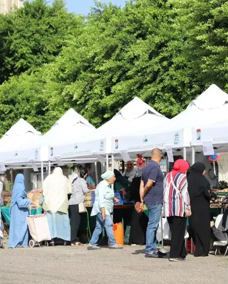غرفة الاسكندرية تعلن عن فتح فروع ل«سوق المزارعين» في شرق وغرب المدينة