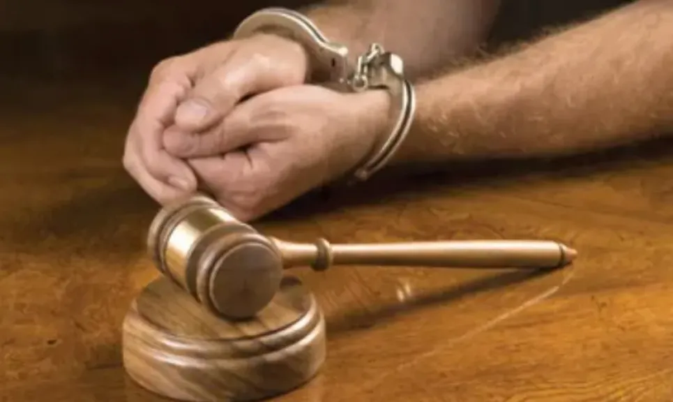 ابن اختها خطط للجريمة.. تأجيل محاكمة المتهمين بقتل سيدة وسرقة ذهبها في بولاق الدكرور لجلسة 8 أغسطس