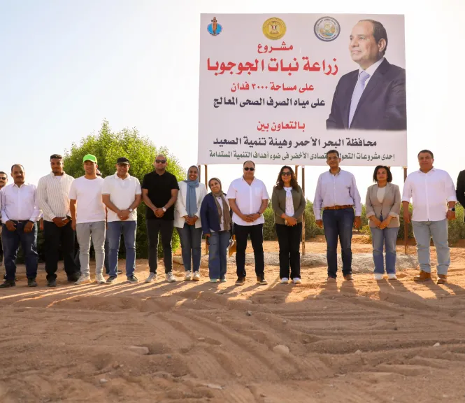 الجوجوبا في الغردقة.. من الصحراء للصناعات التجميلية والوقود الحيوي