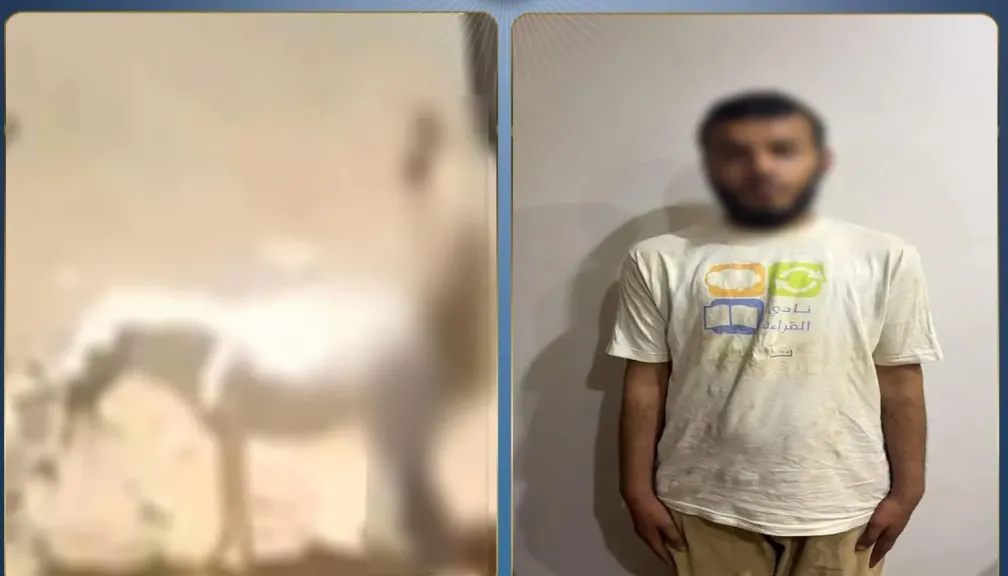 «أشعل مواقع التواصل وأثار الإستياء.. سقوط صاحب فيديو التعدي على دابة بشبين القناطر»