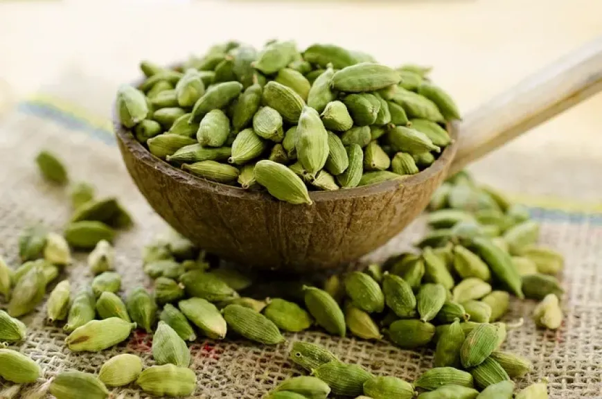 الحبهان.. كنز طبيعي من الفوائد الصحية