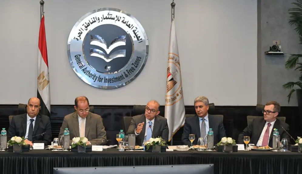 وزراء الاستثمار والصناعة والمالية والتخطيط والعمل والسياحة يبحثون مع البنك الدولي محاور الخطة التنفيذية لاستراتيجية الاستثمار الأجنبي المباشر