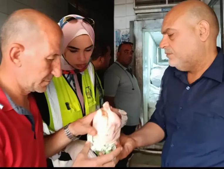 ربع طن سموم غذائية في قلب بنها.. ضبط دواجن ولحوم فاسدة قبل وصولها للمواطنين