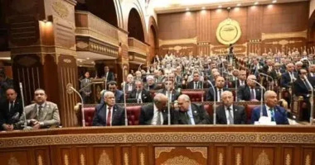 5.8 مليون عامل في دائرة الاهتمام.. «الشيوخ» يناقش تحديات المشروعات الصغيرة والمتوسطة