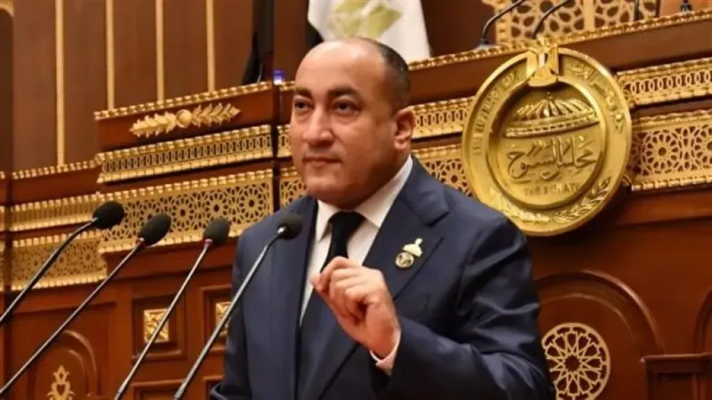 عمرو رشاد: الرئيس السيسي يقود مرحلة جديدة من الاستقرار الإقليمي