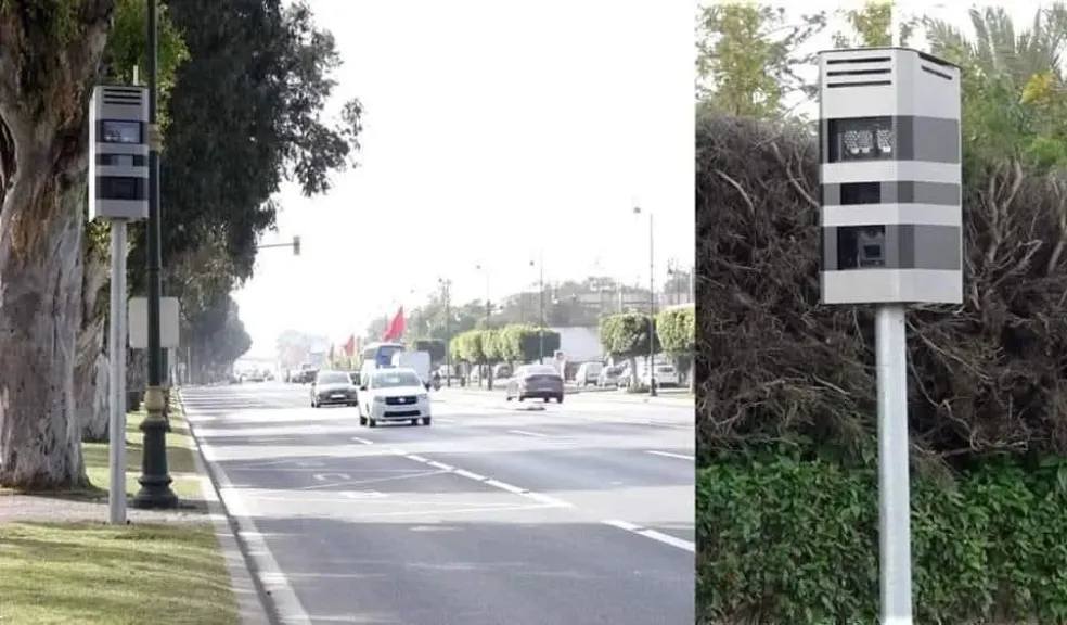ردار