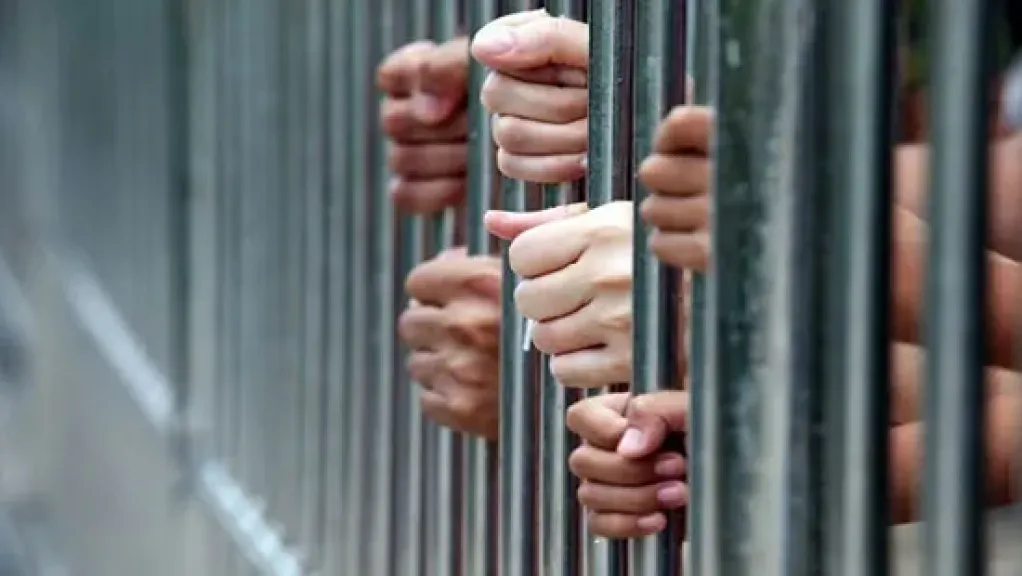 نظر محاكمة 117 متهما بخلية الهيكل الإدارى اليوم