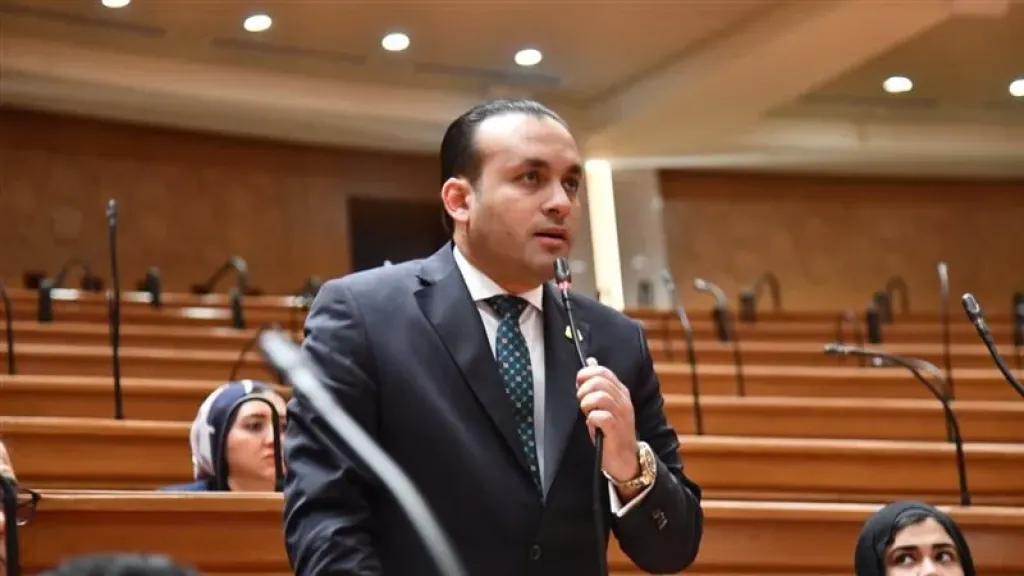 النائب عمرو السعيد فهمي