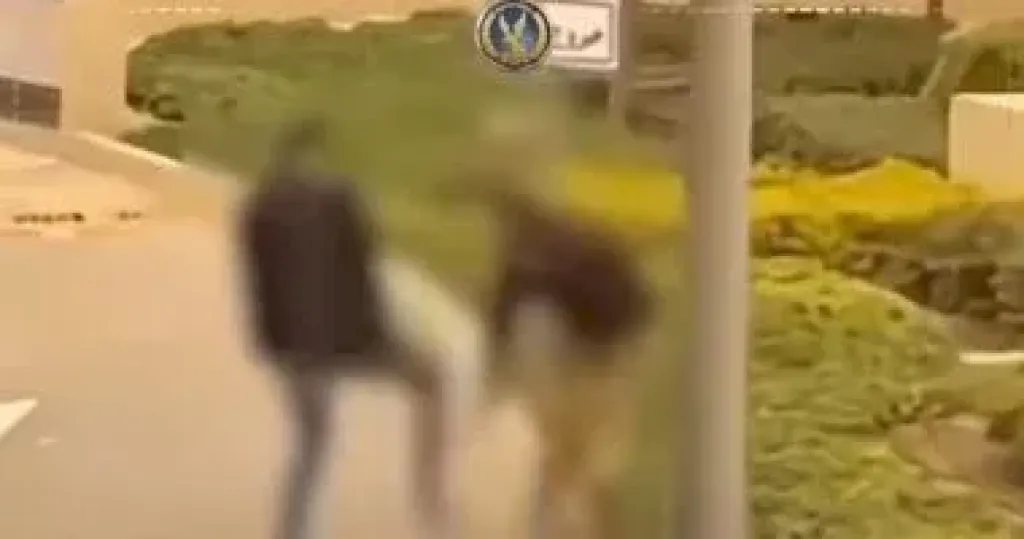 غدًا.. الاستئناف تحسم مصير رجل الأعمال المتهم بالتعدي على فرد أمن بالتجمع