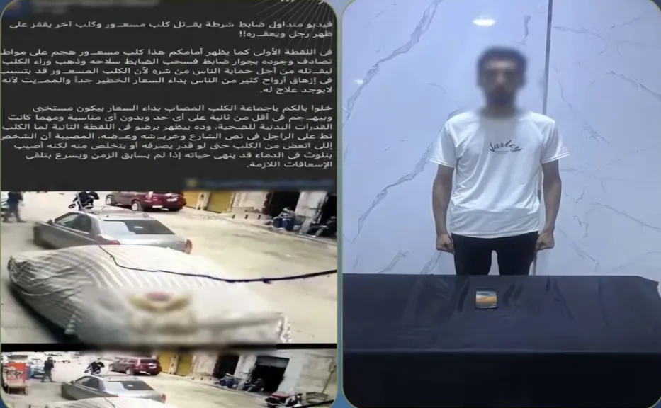 فبركة المشاهدات تسقط مروج فيديوهات ”كلب مسعور”.. والداخلية تكشف الحقيقة كاملة
