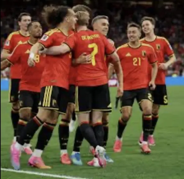 المنتخب البلجيكي يحقق فوز كبير على منتخب نيوزيلندا ويتأهل إلى دور الـ32 في صدارة المجموعة السابعة