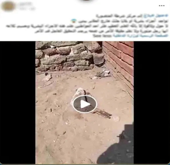 العثور على قدم بشرية أمام مقابر بالدقهلية.. والداخلية تكشف الحقيقة: بتر طبى والكلاب الضالة وراء الواقعة