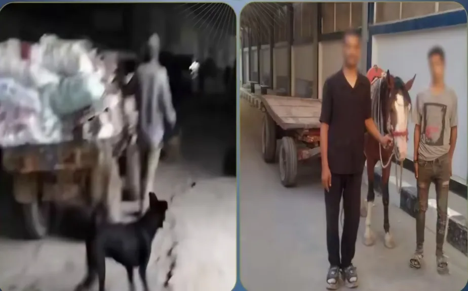 المتهمين 