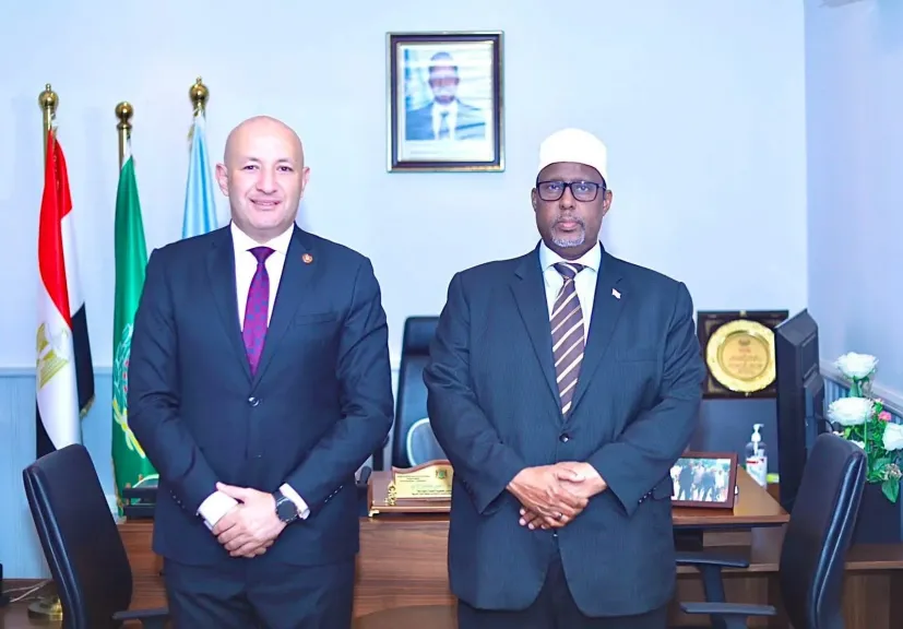 مشيدا بالعلاقات الراسخة بين البلدين : سفير الصومال بالقاهرة يتسلم رسالة تهنئة من الرئيس السيسي بمناسبة العيد الوطني للصومال وينقل تهنئة الرئيس حسن شيخ محمود بمناسبة ثورة 30 يونيو